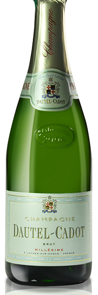 champagne-dautel-cadot-cuvée-grande-tradition-millesime-brut-bouteille