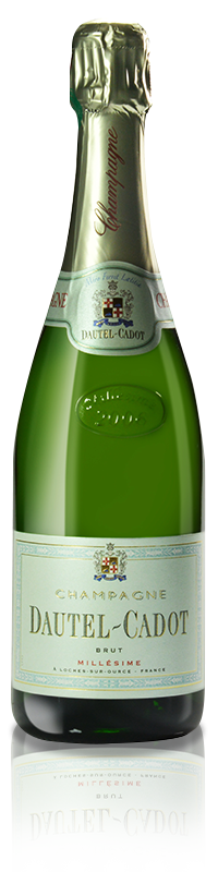 champagne-dautel-cadot-cuvée-grande-tradition-millesime-brut-bouteille