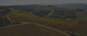 champagne-dautel-cadot-notre-histoire-visuel-bandeau-parralax.