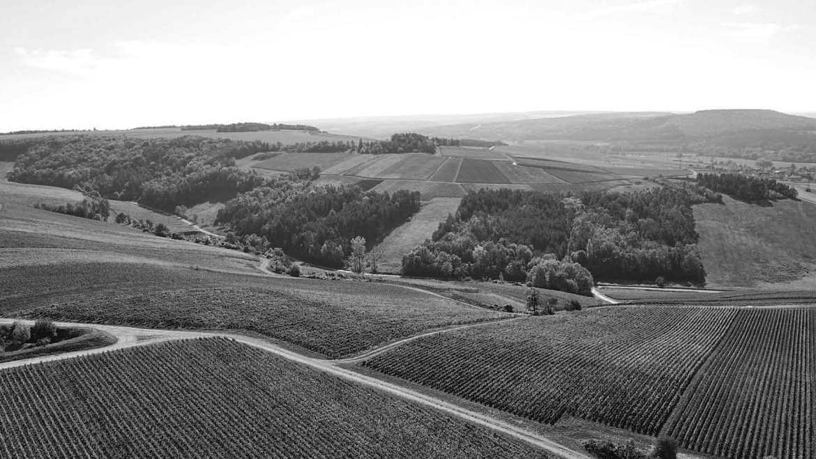 le domaine vignoble